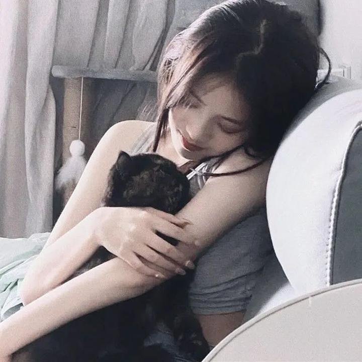 大猫竞技